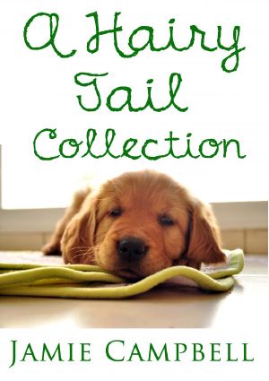 [A Hairy Tail 01] • Hairy Tail Collection